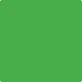 2030-20 Tropical Seaweed Green