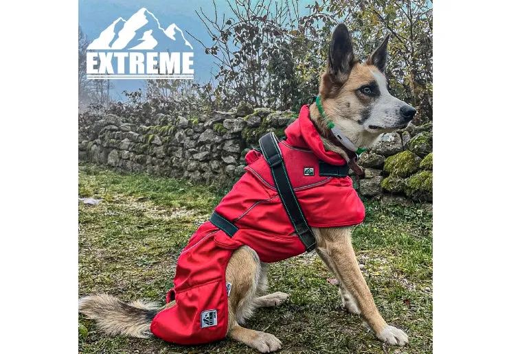 Ancol Extreme Monsoon Dog Coat Red