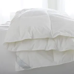 Bergen Down-Free Comforter by Scandia Home