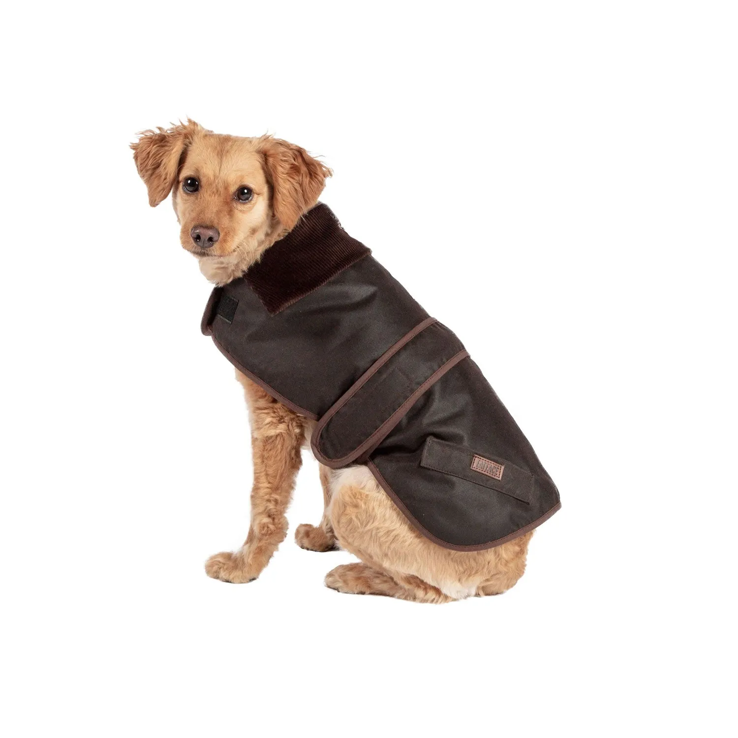 Danish Design Fatface Sussex Dog Coat