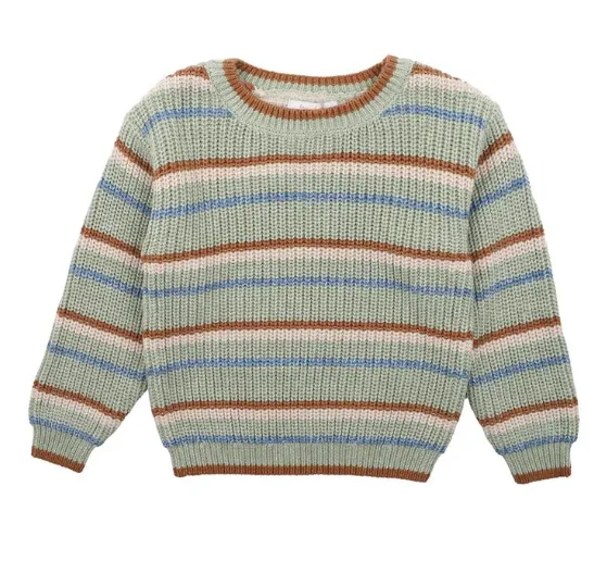 Fox & Finch W24 Bug Stripe Knitted Jumper 3-7yrs