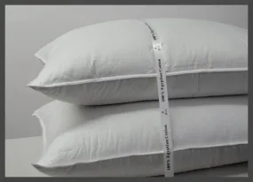 Luxury Set of 2 Down Alternative Pillows