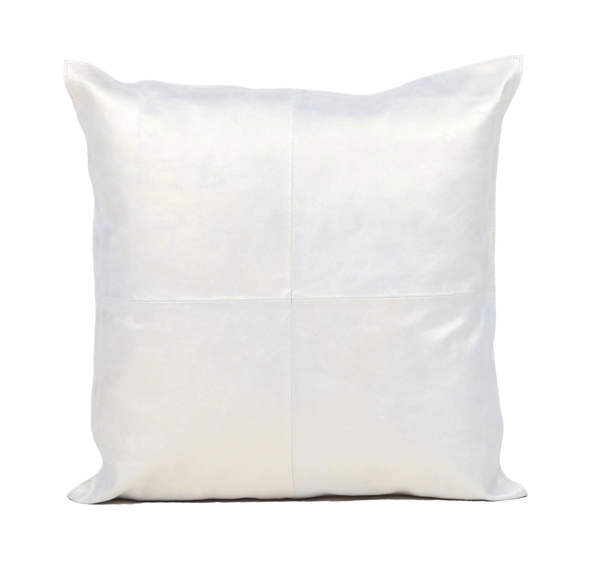 Metallic Leather Cushion