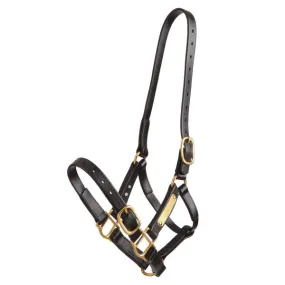 Zilco Deluxe 25mm PN Headstall