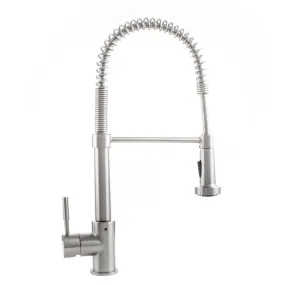 ZLINE Apollo Pull Down Spring Single Handle Kitchen Faucet in Brushed Nickel (APL-KF-BN)