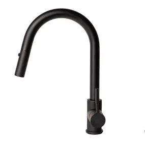 ZLINE Arthur Pull Down Single Handle Kitchen Faucet in Matte Black (ATH-KF-MB)